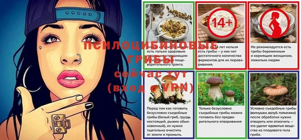 ГАЛЛЮЦИНОГЕННЫЕ ГРИБЫ Верхнеуральск