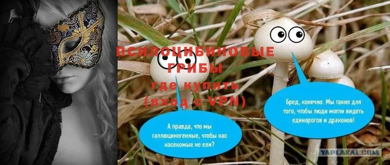 Галлюциногенные грибы MAGIC MUSHROOMS  даркнет сайт  Мурино 